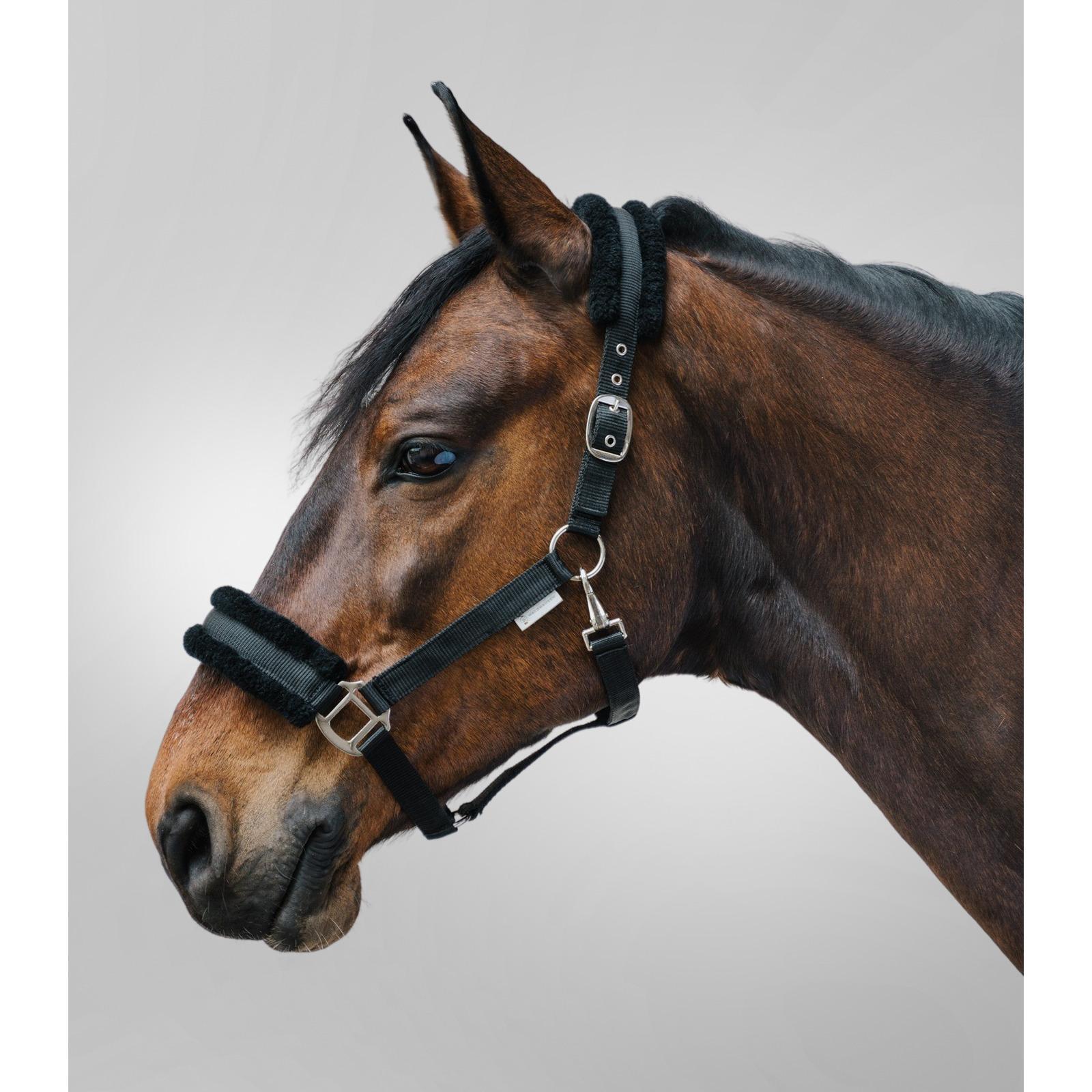Licol pour cheval avec fourrure Waldhausen First 2/2