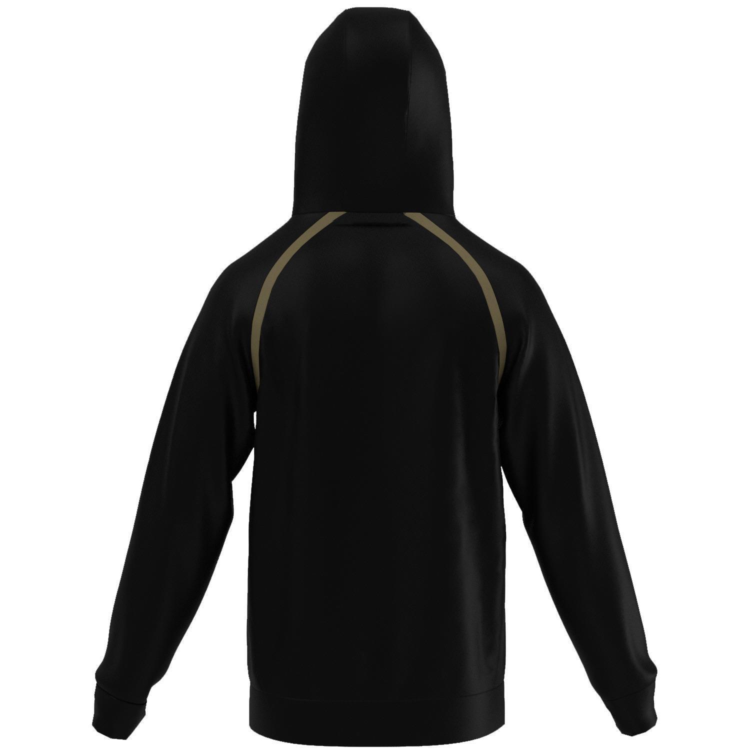 Sweatshirt à capuche Mizuno StarLigue LNH 2/2