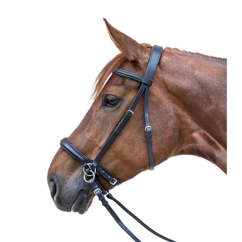 Combined bridle with noseband, without bit Star