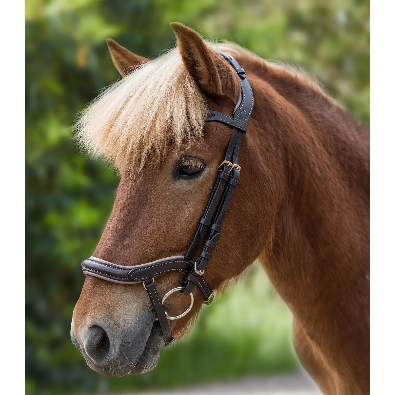 Anatomische paardenruiters biedingen Waldhausen Island 3/3
