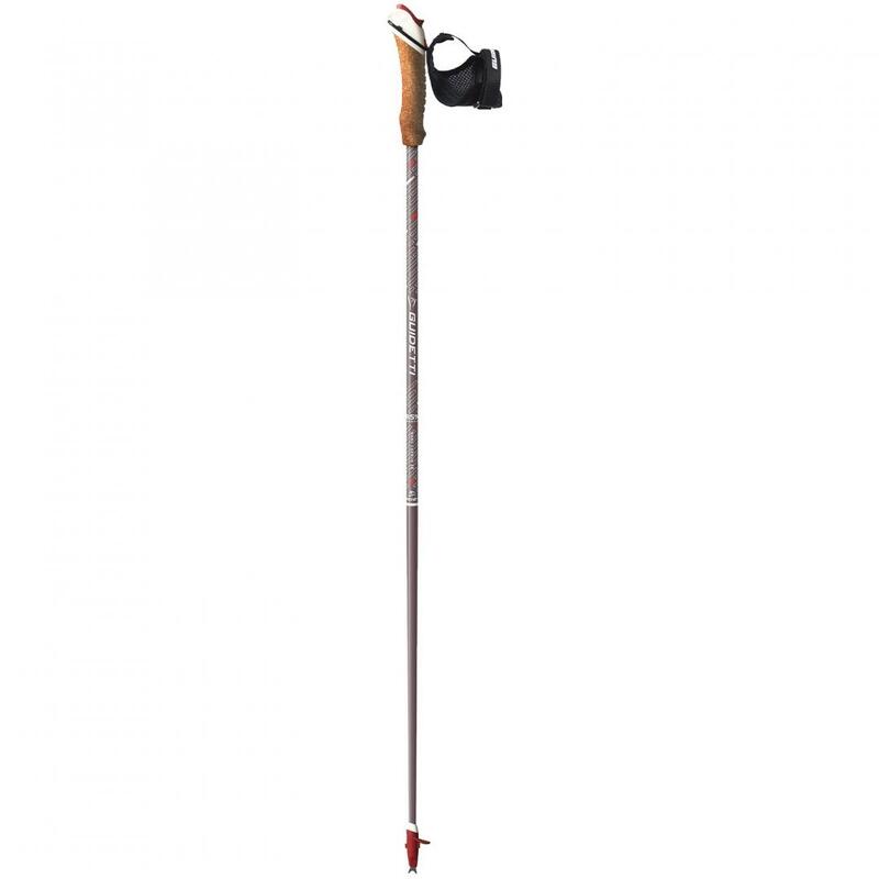 Nordic walking bot.