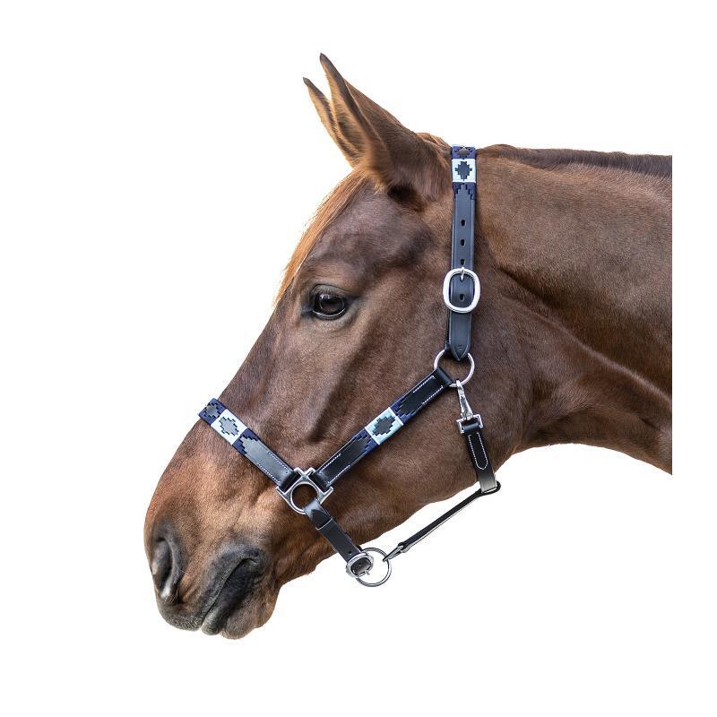 Licol pour cob en cuir Waldhausen Polo 2/2