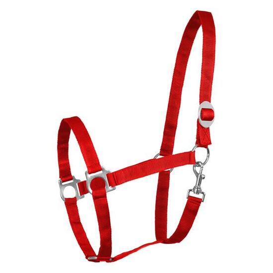 Licol pour cheval Waldhausen Perlon
