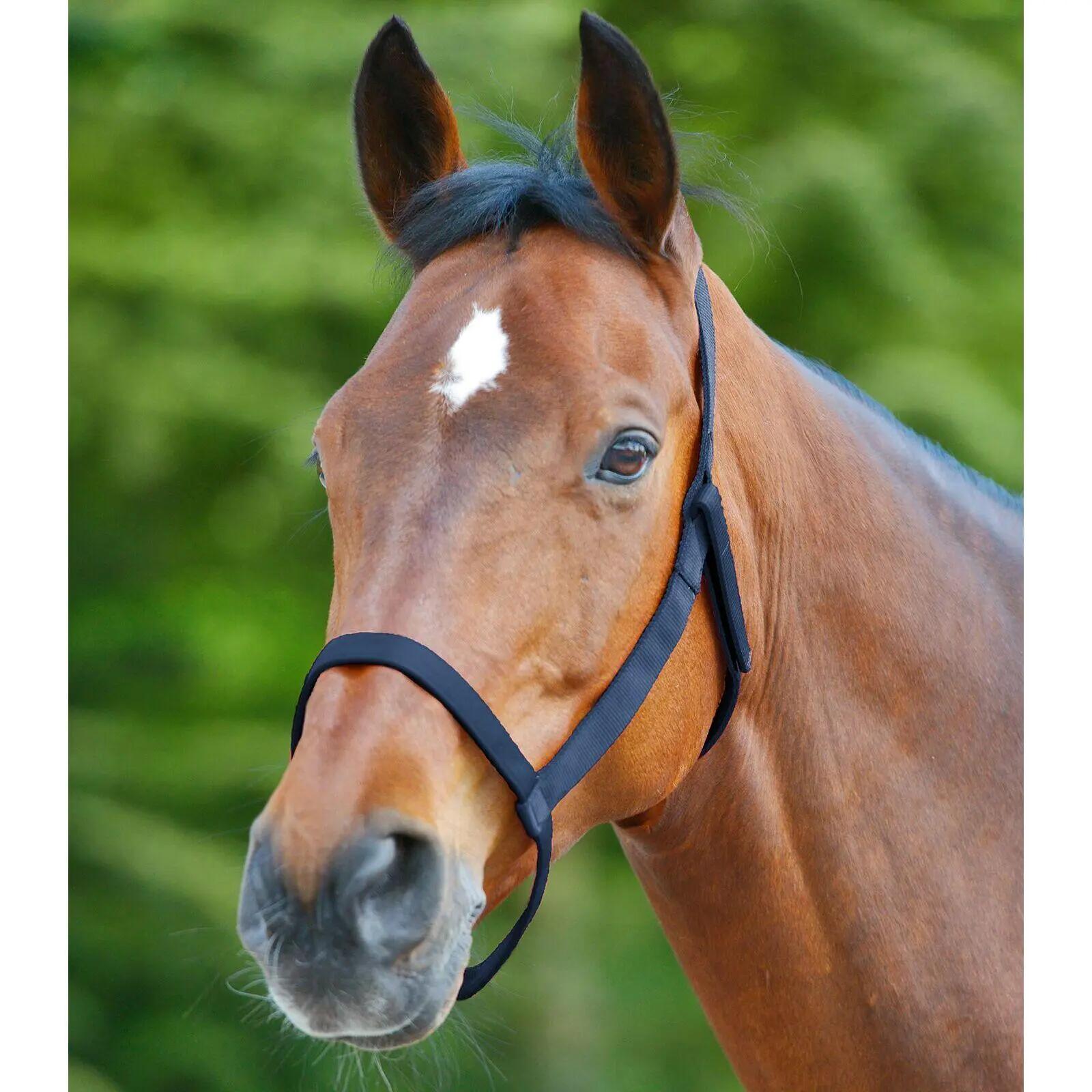 Capestro per pony da pascolo Waldhausen 2/2