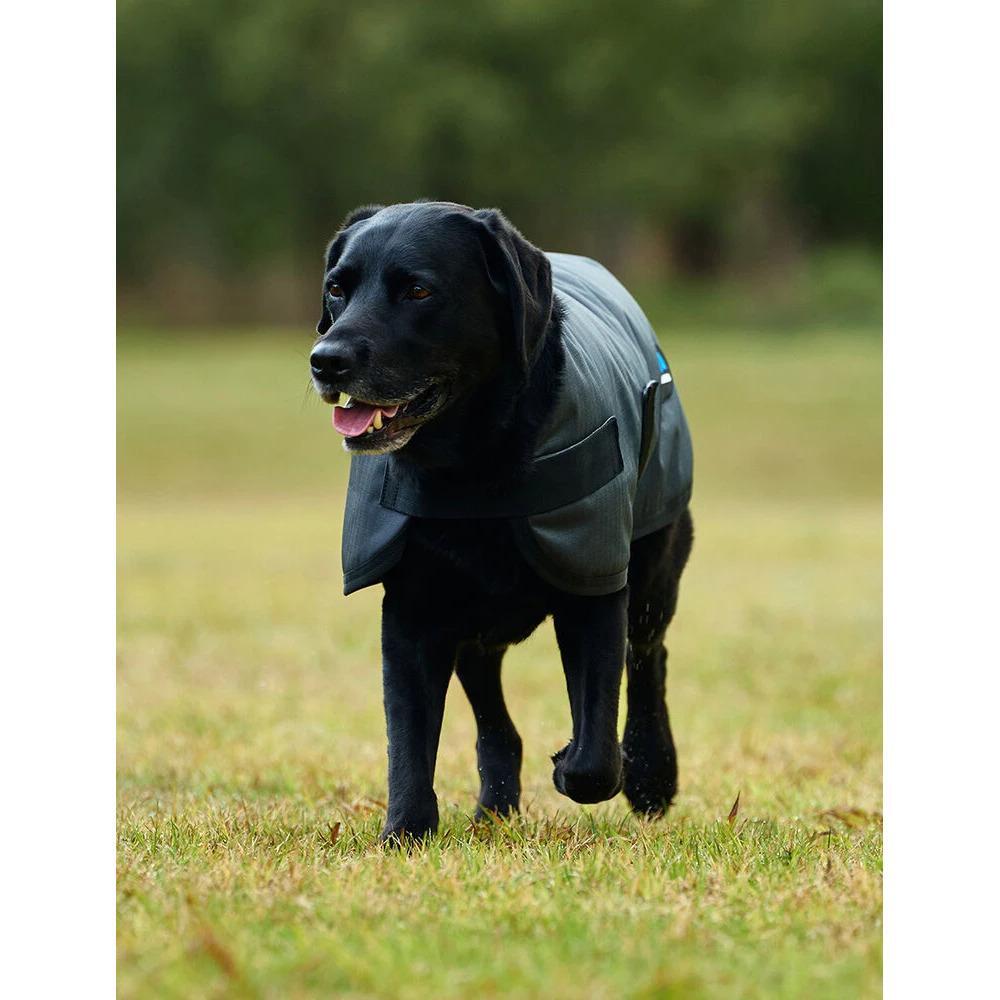 Abrigo impermeable para perro Weatherbeeta Comfitec Classic 4/5