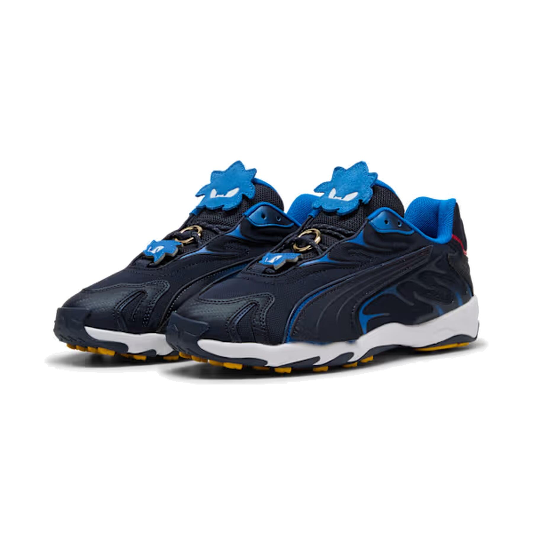 PUMA picture