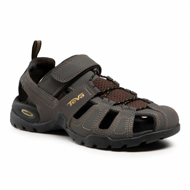 TEVA picture