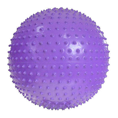 Massage oefenbal (violet)