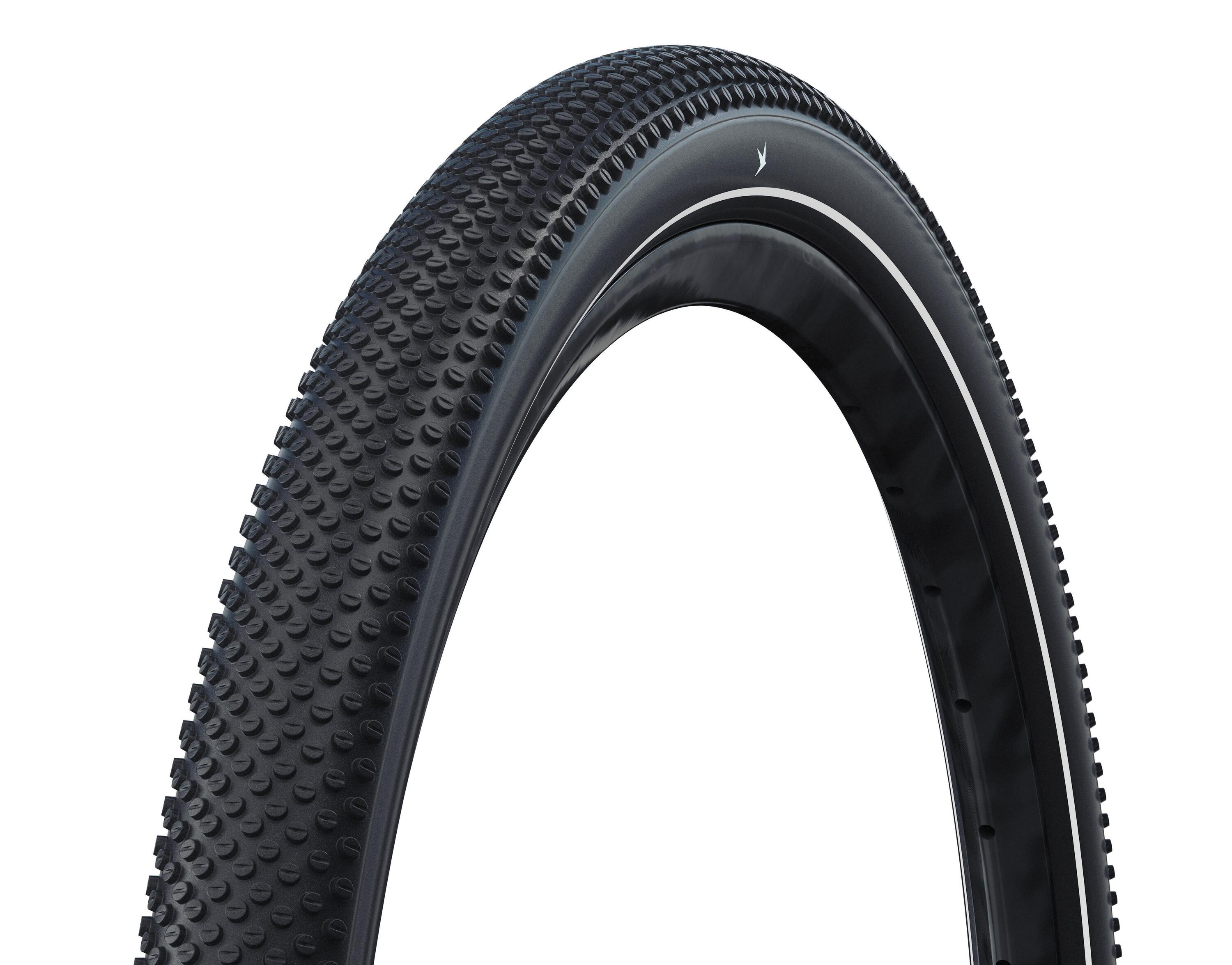 SCHWALBE picture