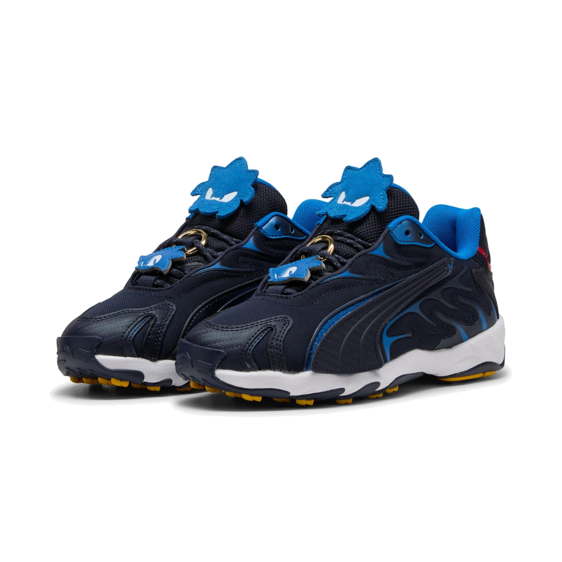 PUMA picture