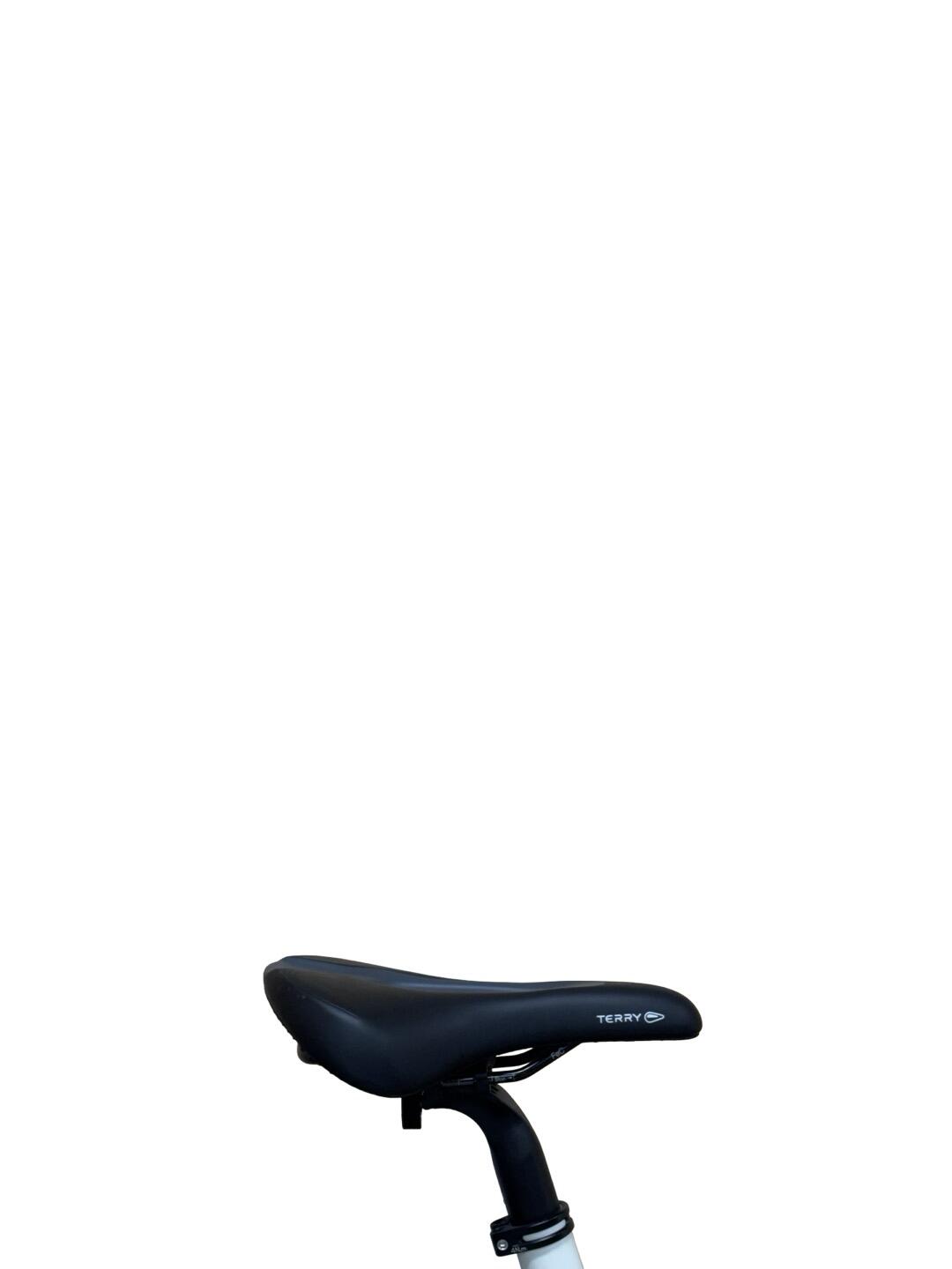 Ricondizionata - Bici elettriche Rose Xtra Watt Evo Plus 1 XT- Stato eccellente 4/7