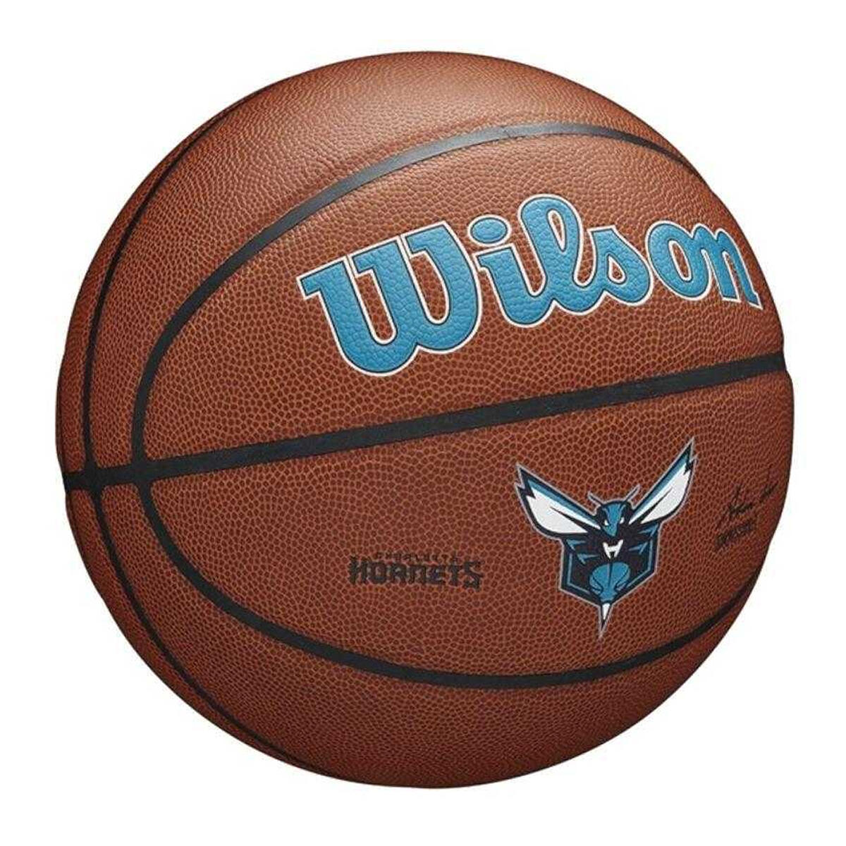 Team Alliance Charlotte Hornets Basketbal (Bruin) 2/2