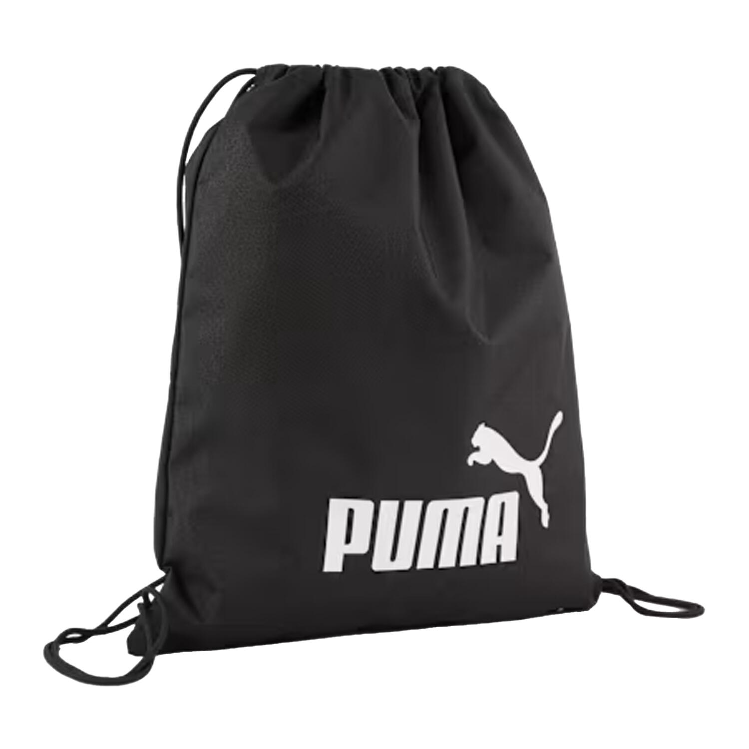 PUMA picture