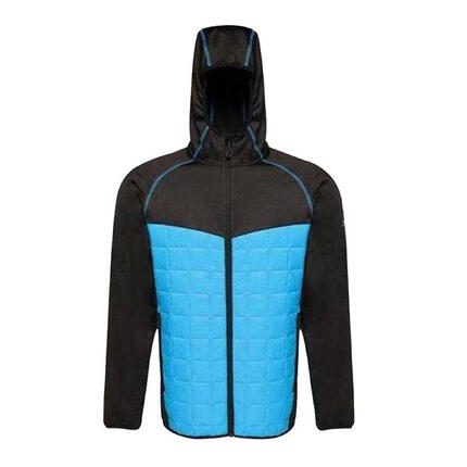 Veste Homme (Noir / Bleu)