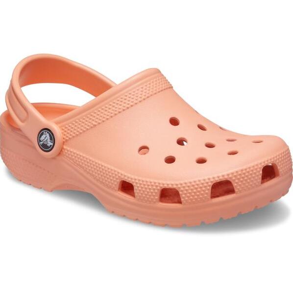 CROCS picture