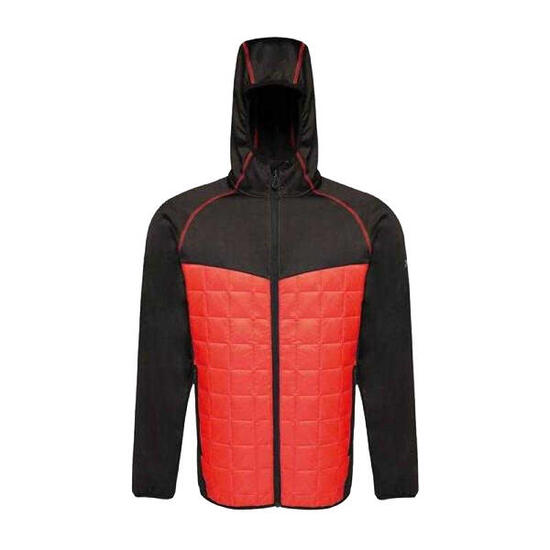Veste Homme (Noir / Rouge)