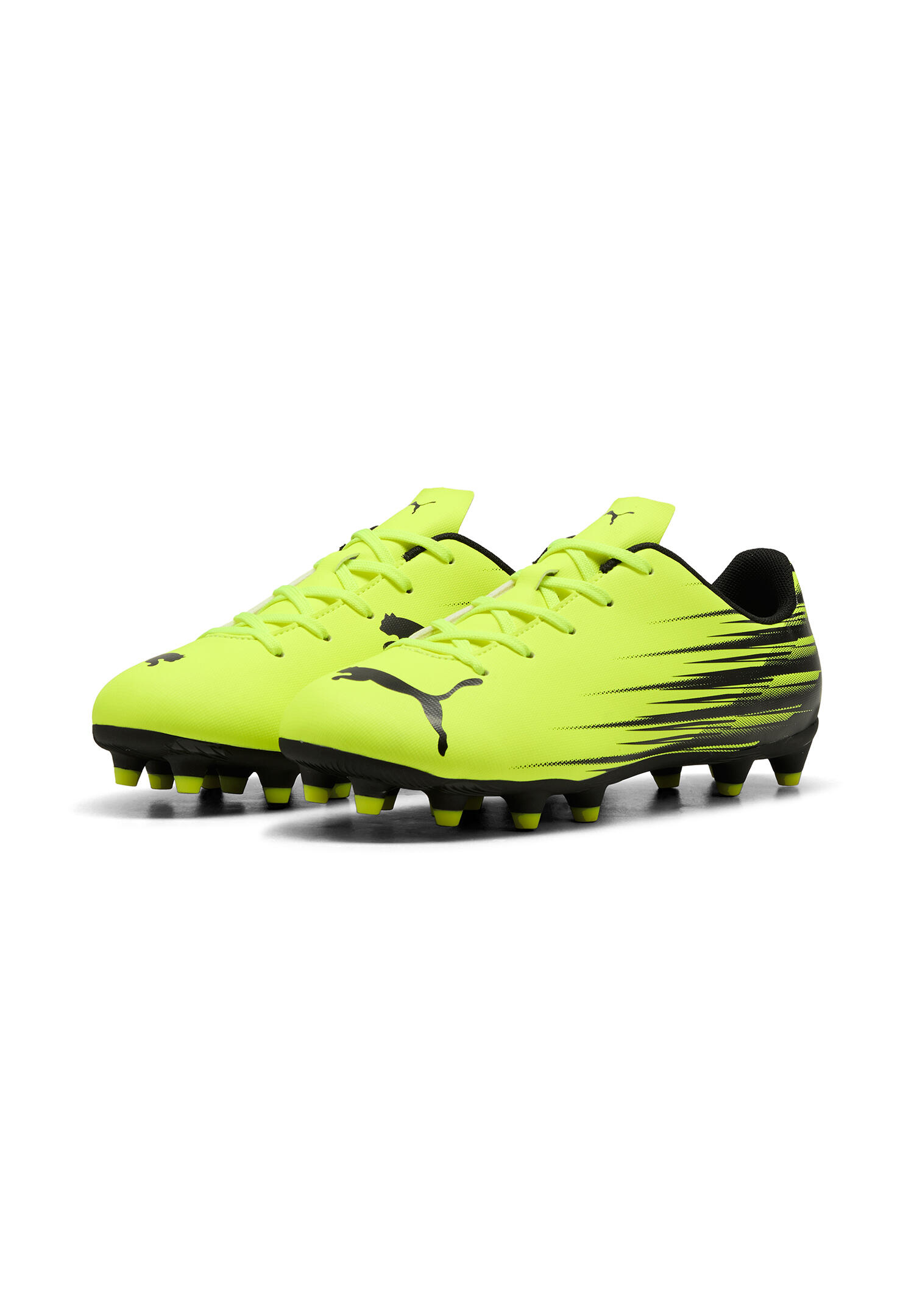 PUMA picture