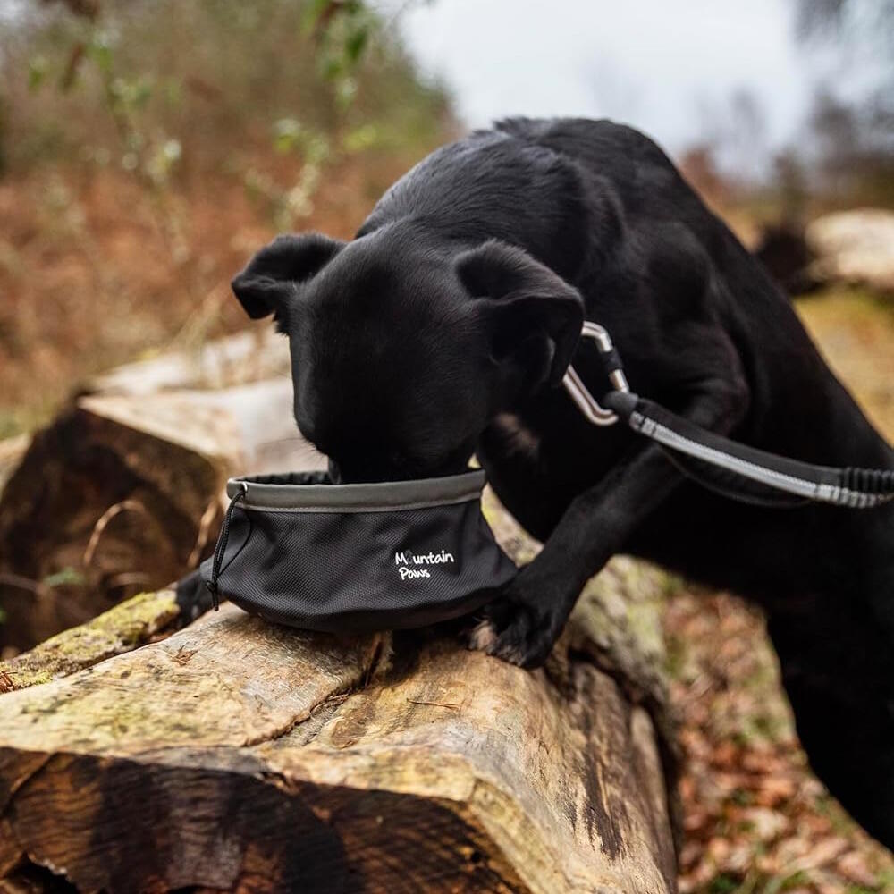 Faltbarer Napf Mountain Paws 1450 ml MultiCam Black Polyester TPU rutschfest 2/2