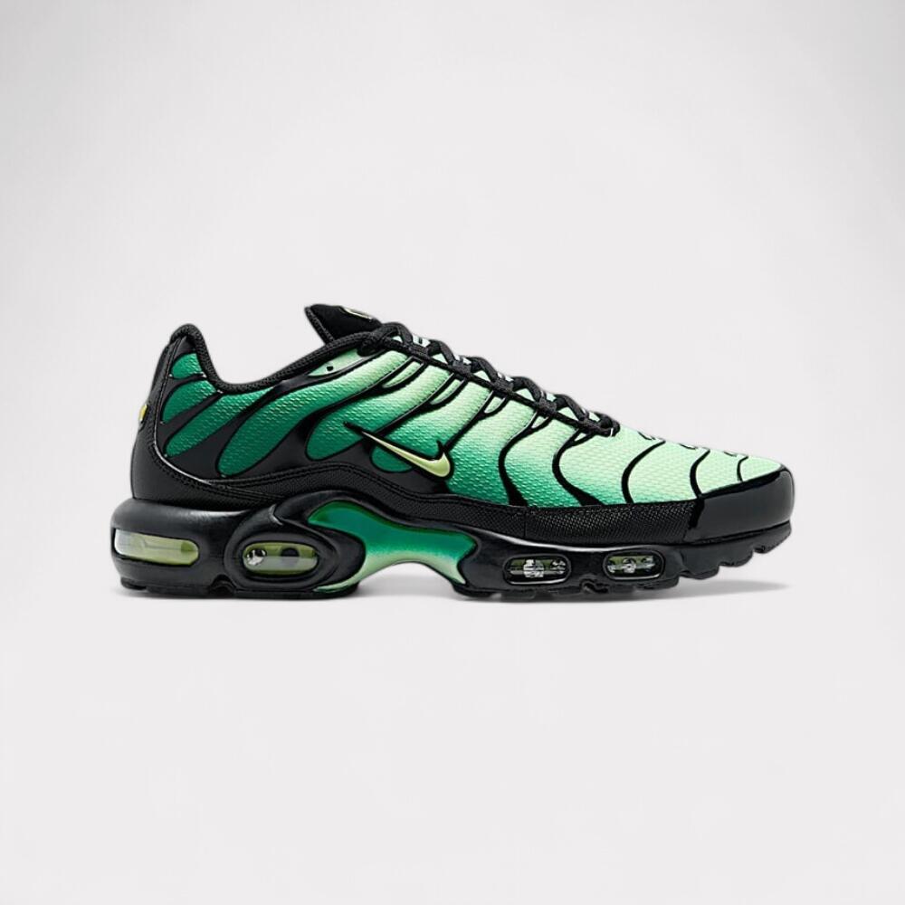 NIKE picture