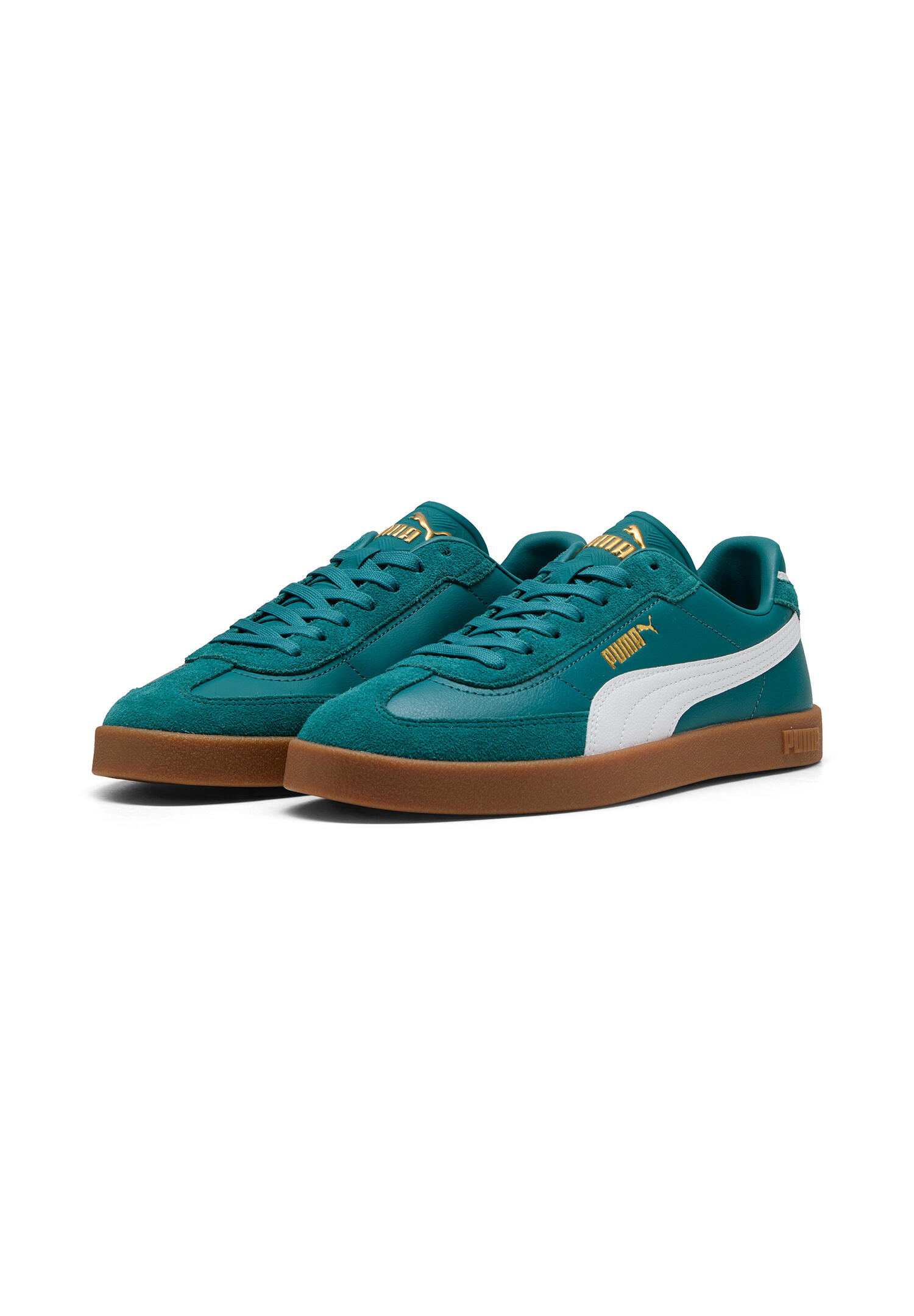 PUMA picture