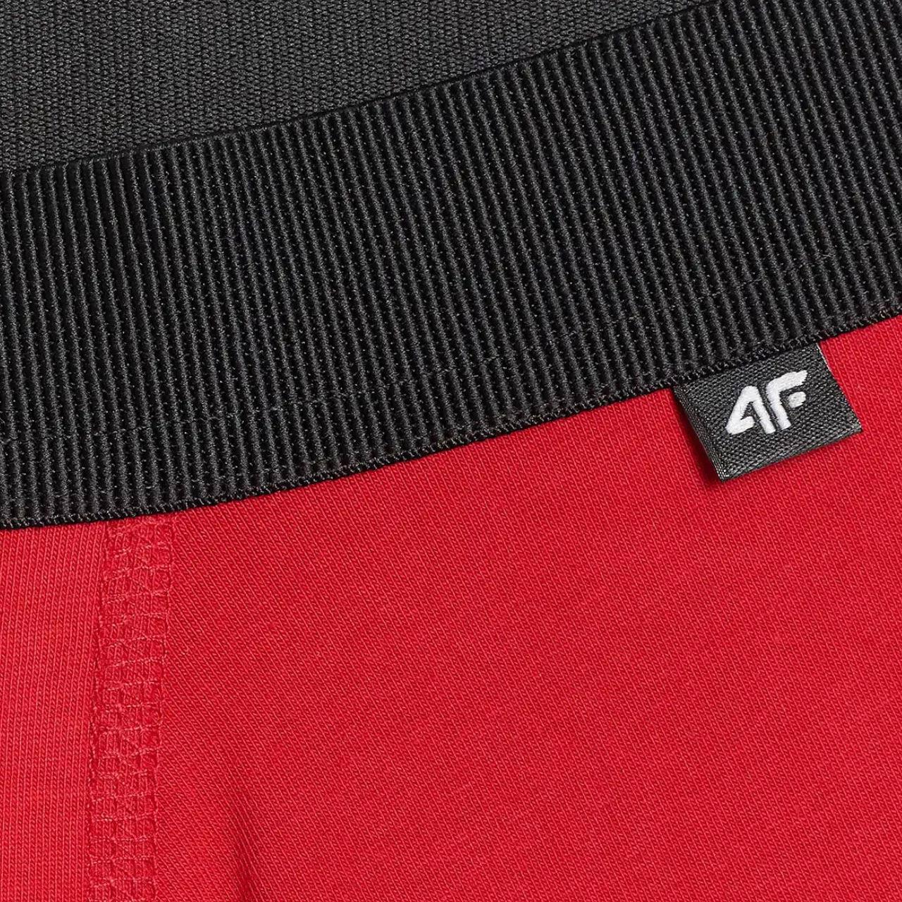 4F Herren-Boxershorts 2er-Pack, Baumwolle-Elasthan 4/4