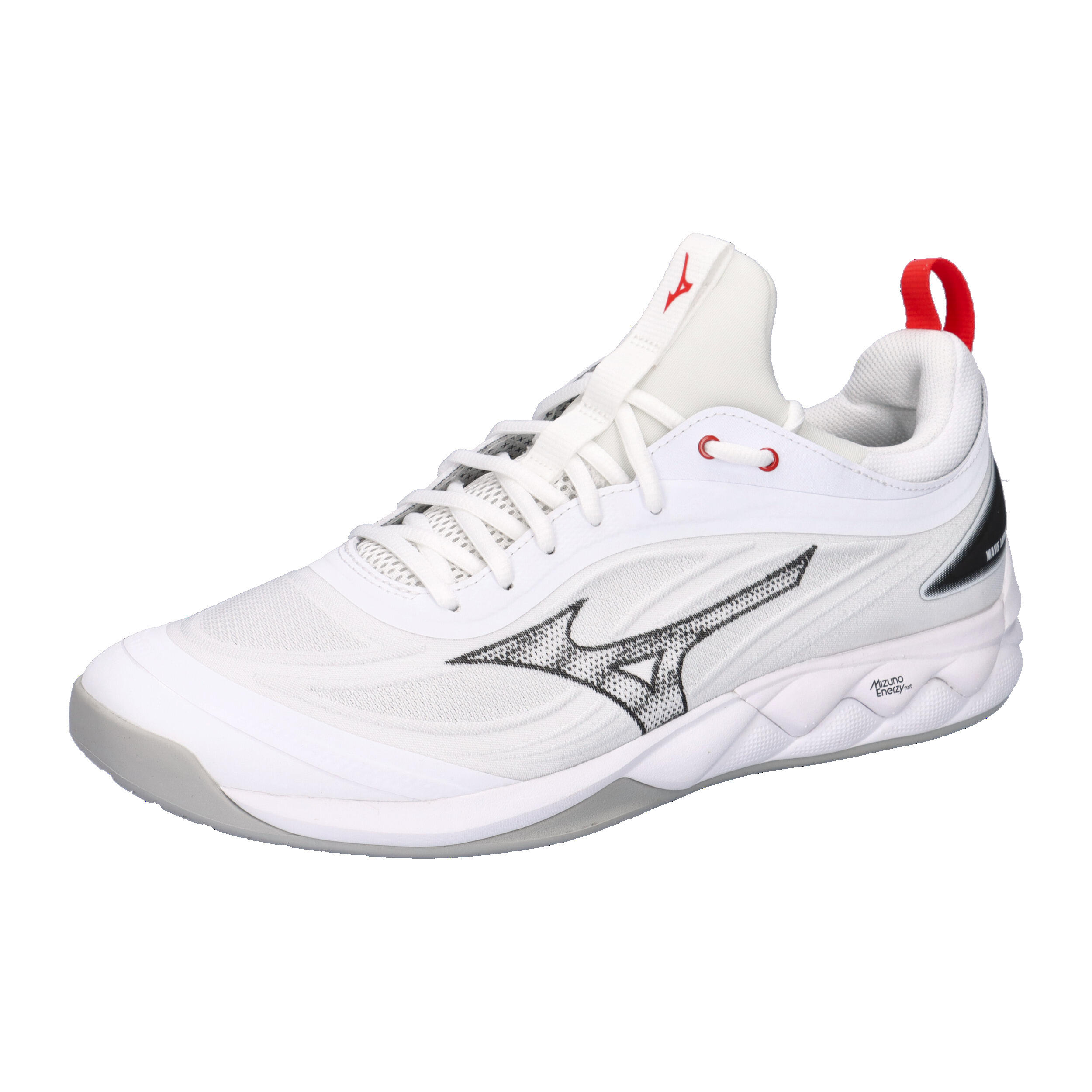 MIZUNO picture