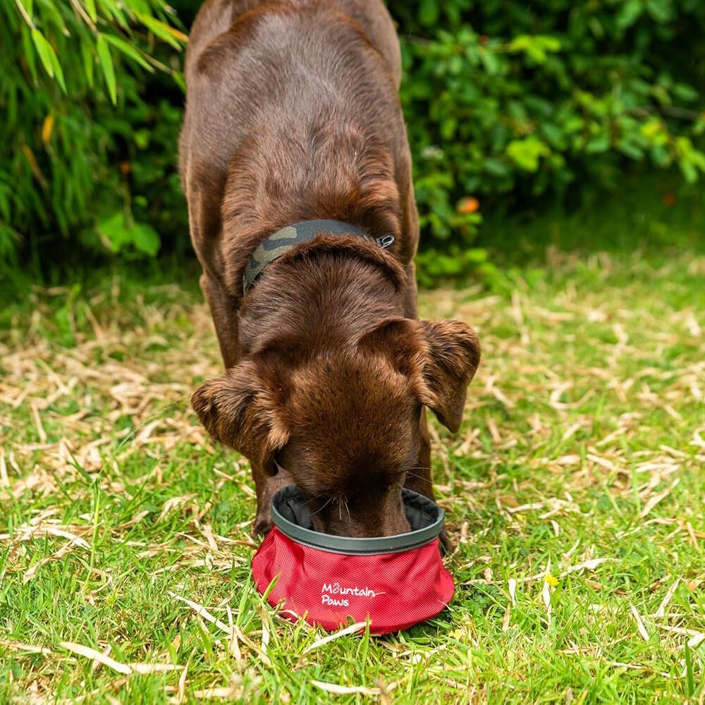 Bol pliable Mountain Paws chien 1,45 L rouge, base antidérapante, tissu lavable 2/2