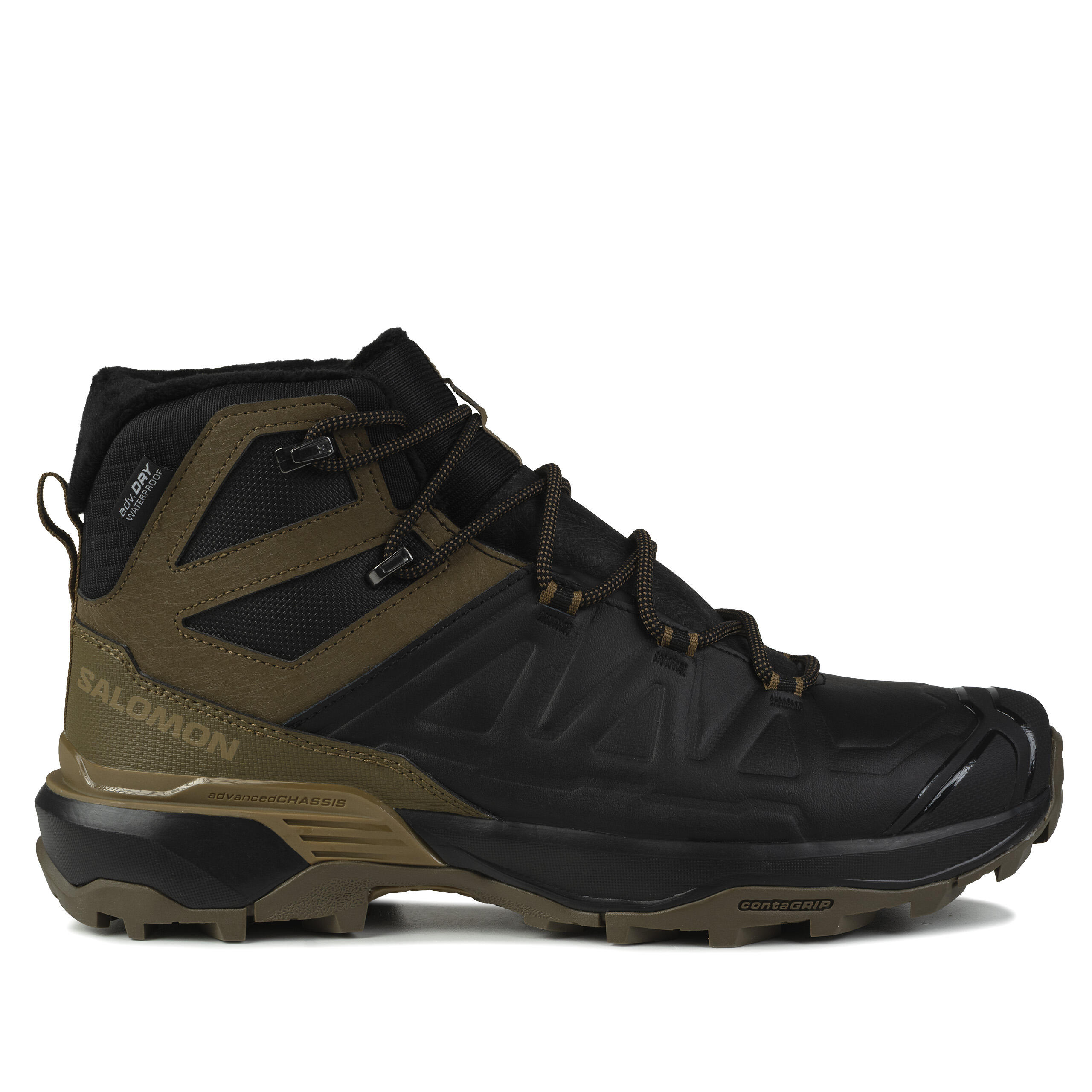 SALOMON picture