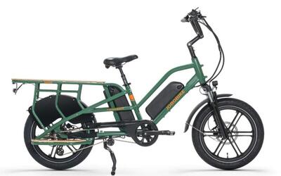 Transer longtail 624wh, shimano nexus, groen