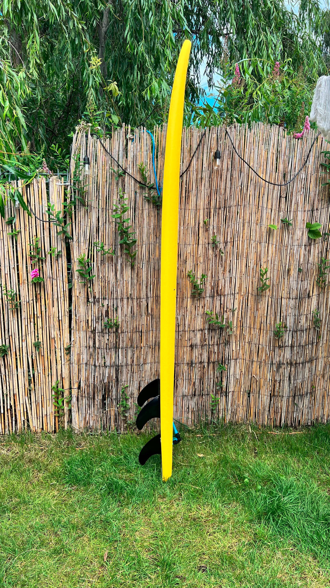 Deska surfingowa Surf Logic Happy Classic 7'0 - 72l softboard 5/7