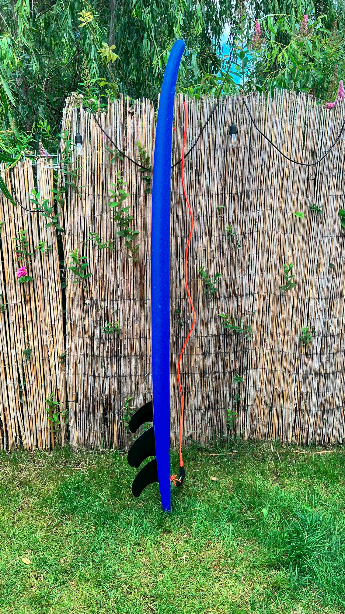 Deska surfingowa Surf Logic Smooth Operator 6'6 - 69l softboard 5/7