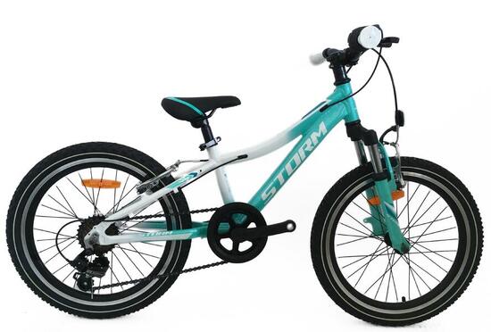 Rower dziecięcy damski Storm Queen 20 2VBR