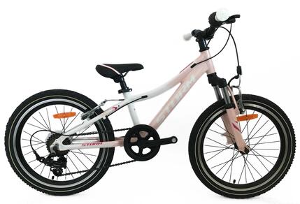 Rower dziecięcy damski Storm Queen 20 2VBR