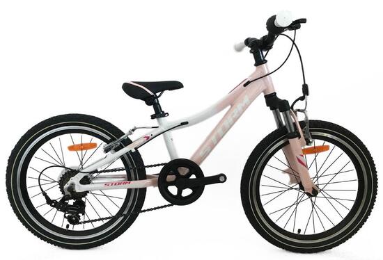 Rower dziecięcy damski Storm Queen 20 2VBR