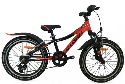 Rower dziecięcy męski Storm Racer 20 2VBR