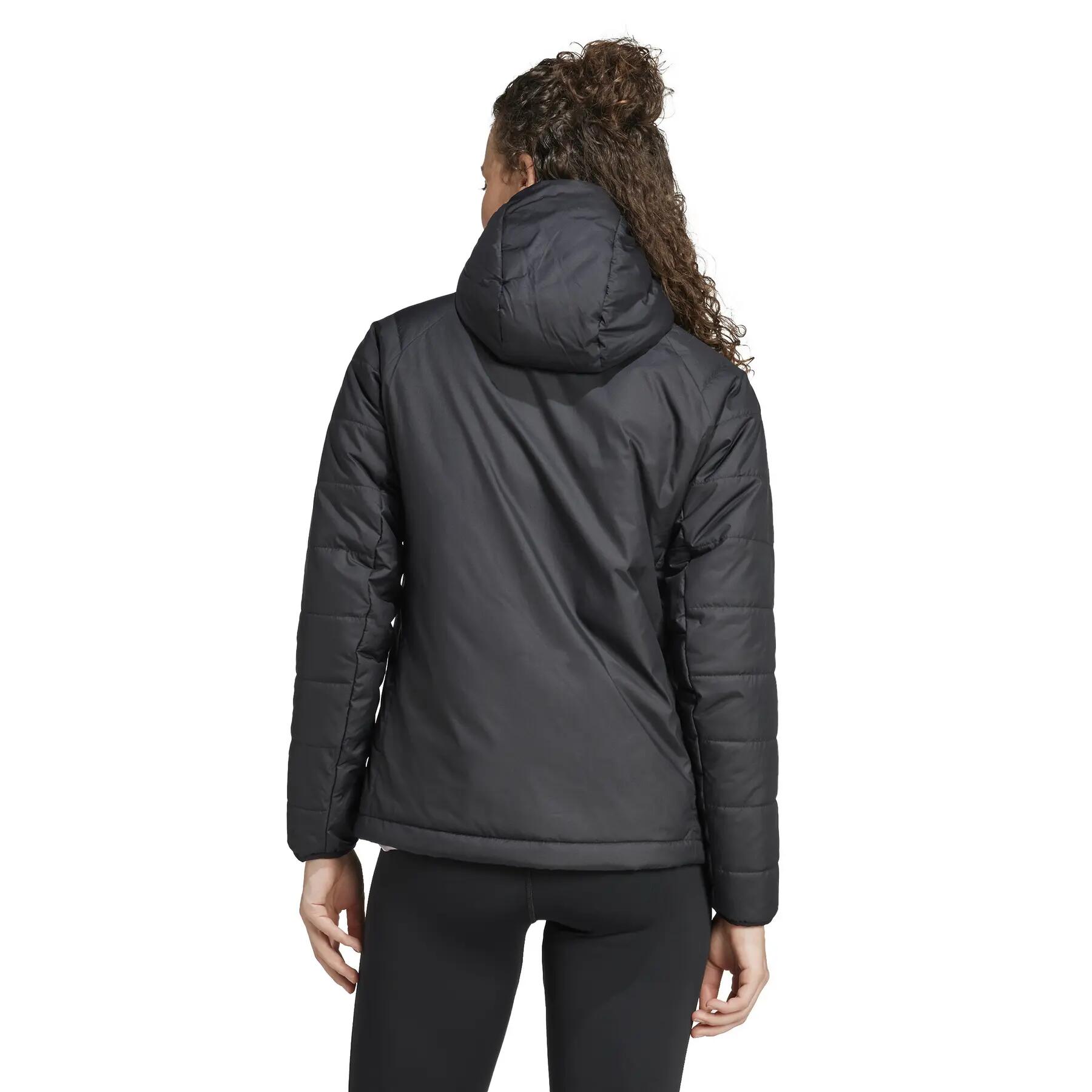 Veste à capuche isolante synthétique Terrex Multi 6/7