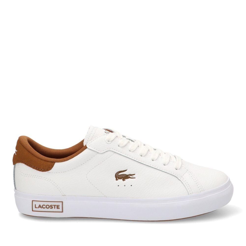 LACOSTE picture