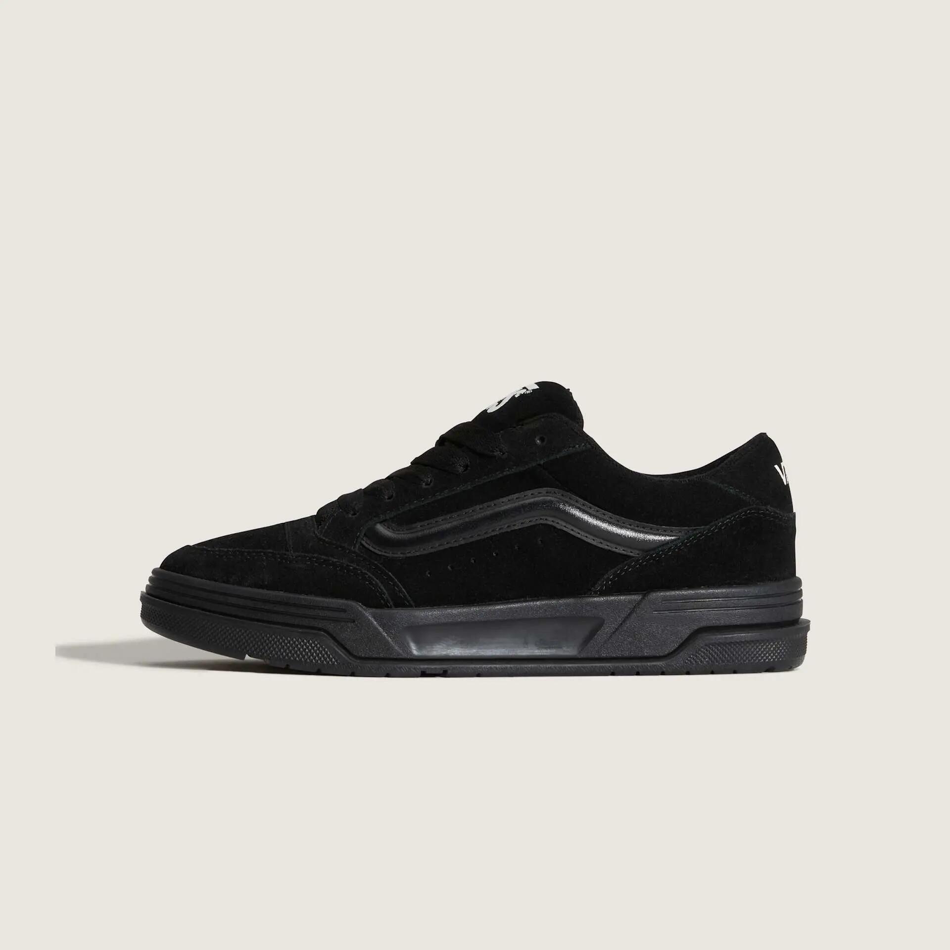 VANS picture