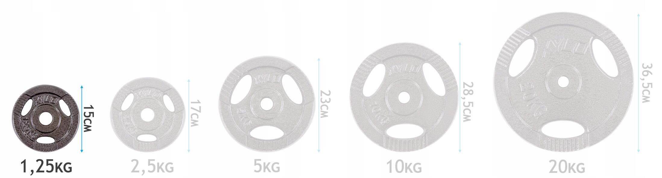 Obciążenie żeliwne Sapphire 1,25 kg 4/4