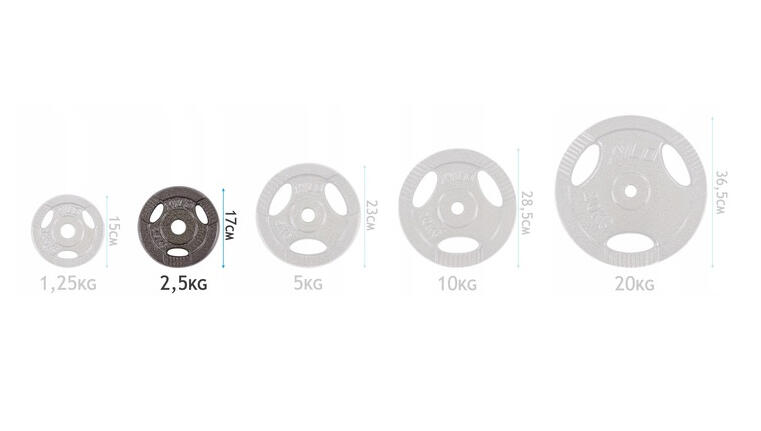 Obciążenie żeliwne Sapphire 2,5 kg 4/4