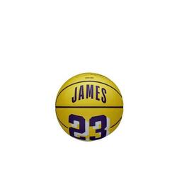 Mini ballon Wilson NBA Player Icon - Lebron