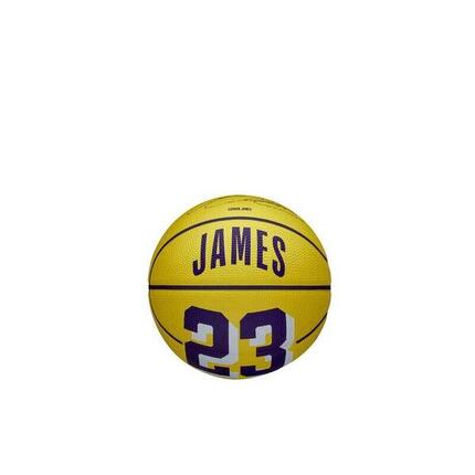 Mini ballon Wilson NBA Player Icon - Lebron