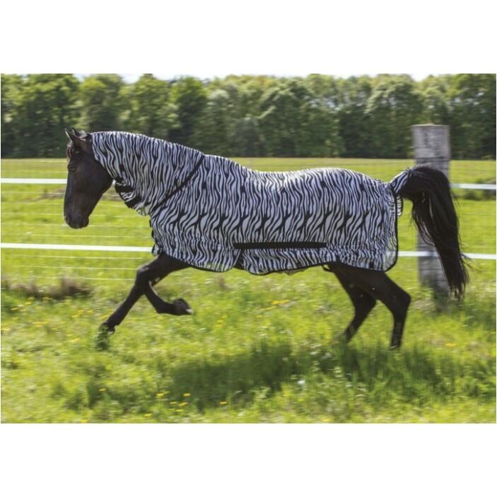 Chemise filet Riding World - Combo Zèbre 5'9 2/4