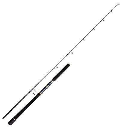 Canne casting Penn Battalion 30-50lb