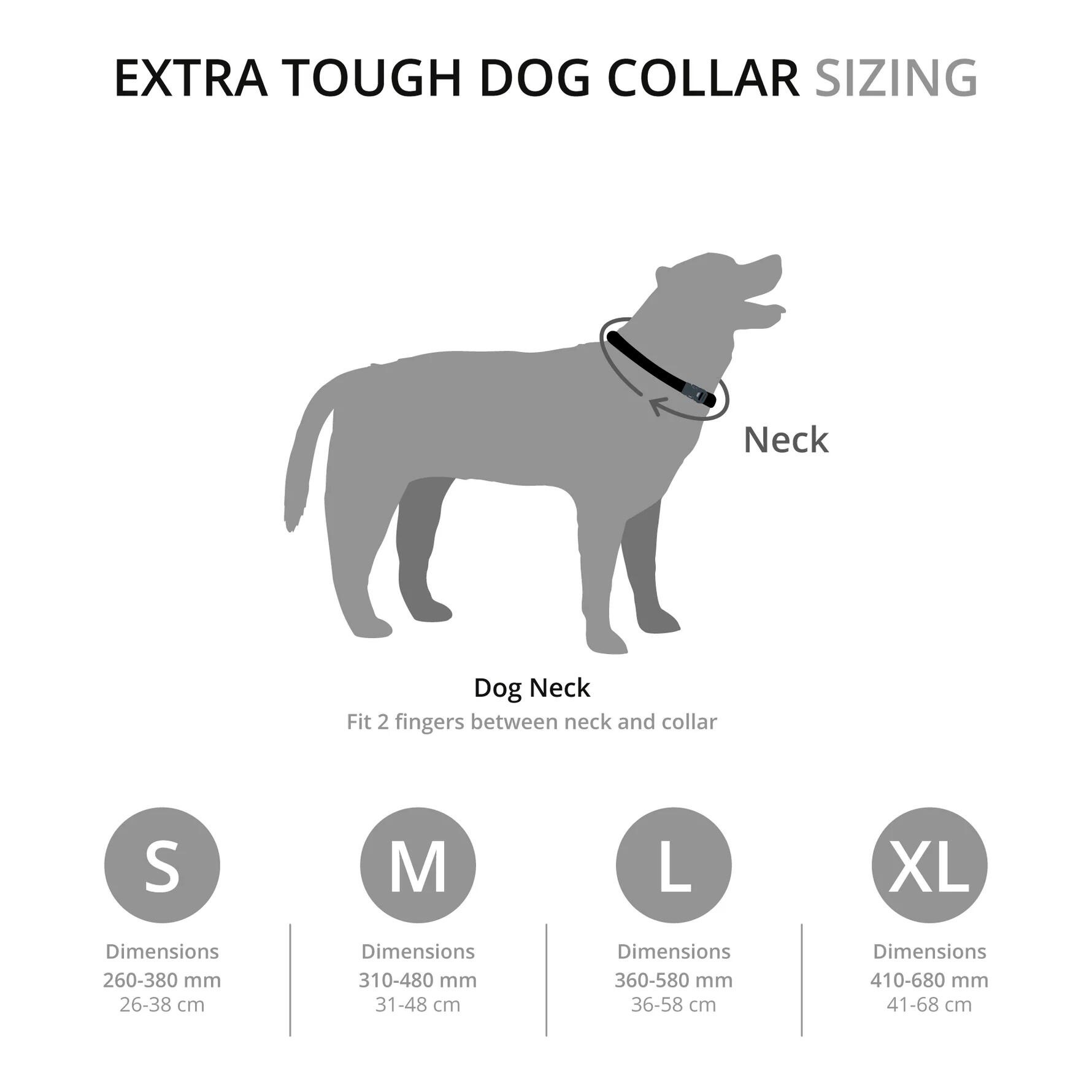 Collier Mountain Paws Extra Tough Small nylon 25 mm orange résistant 190 kg 3/3