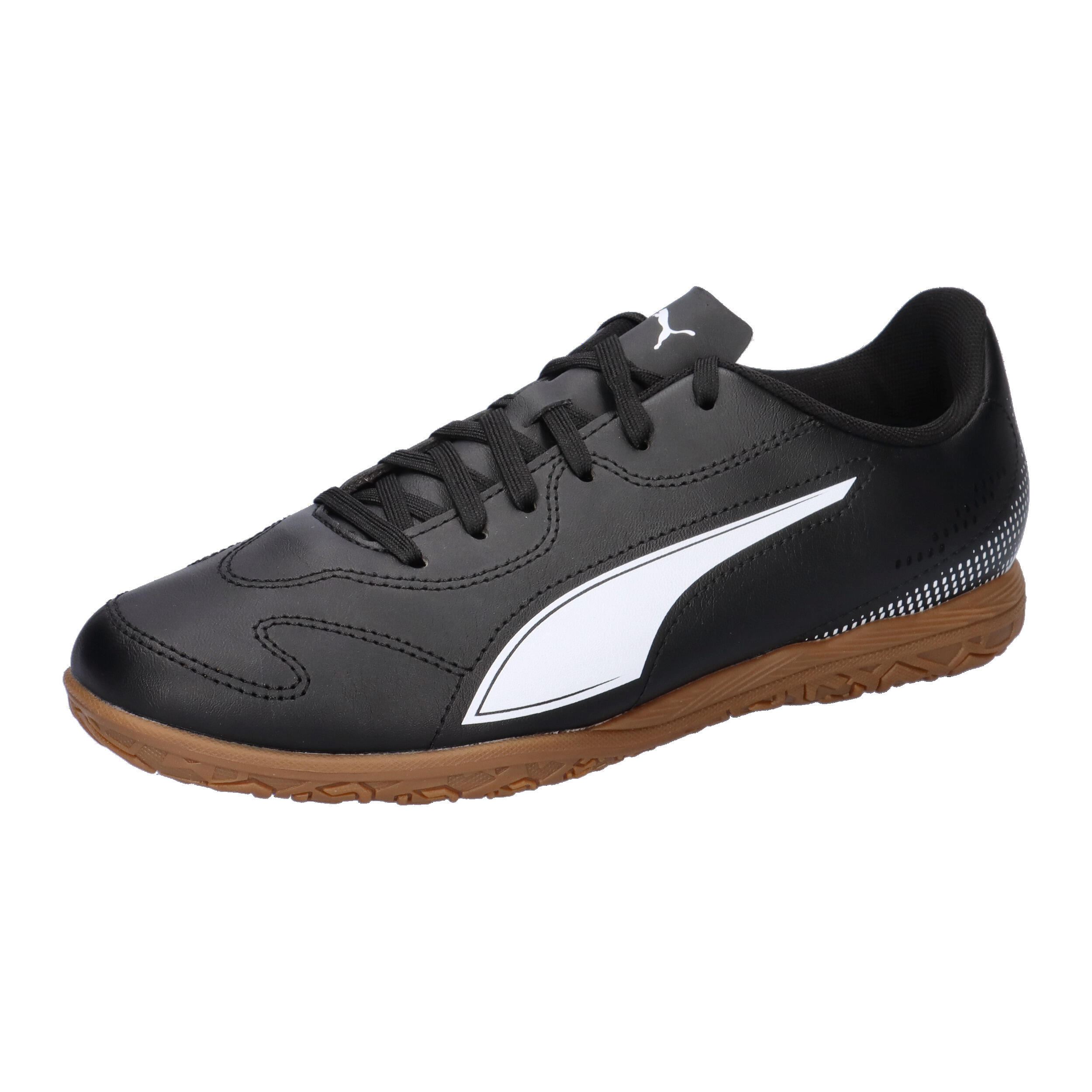 PUMA picture