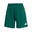 Pantaloni scurți pentru femei adidas Entrada 26