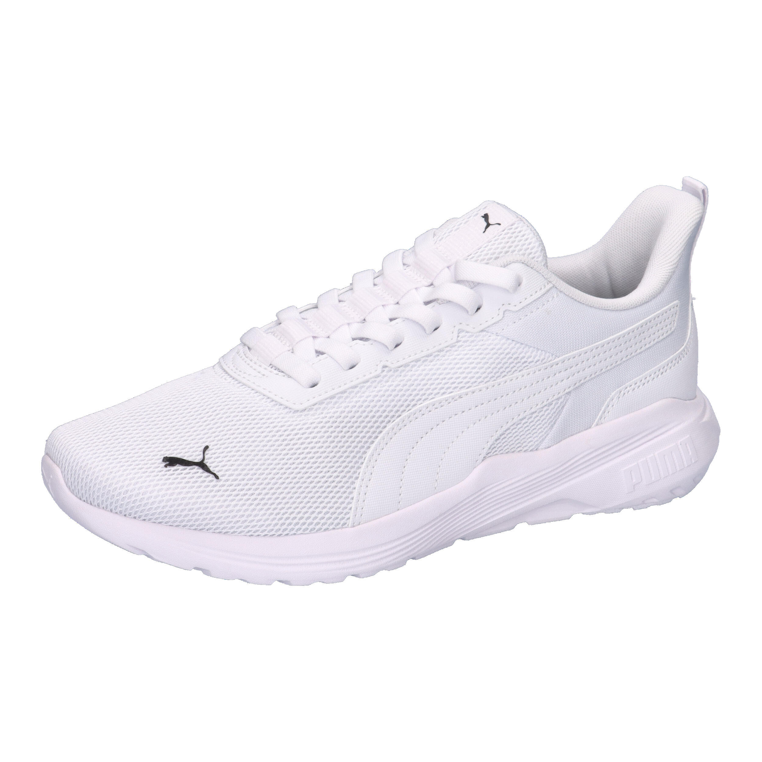 PUMA picture