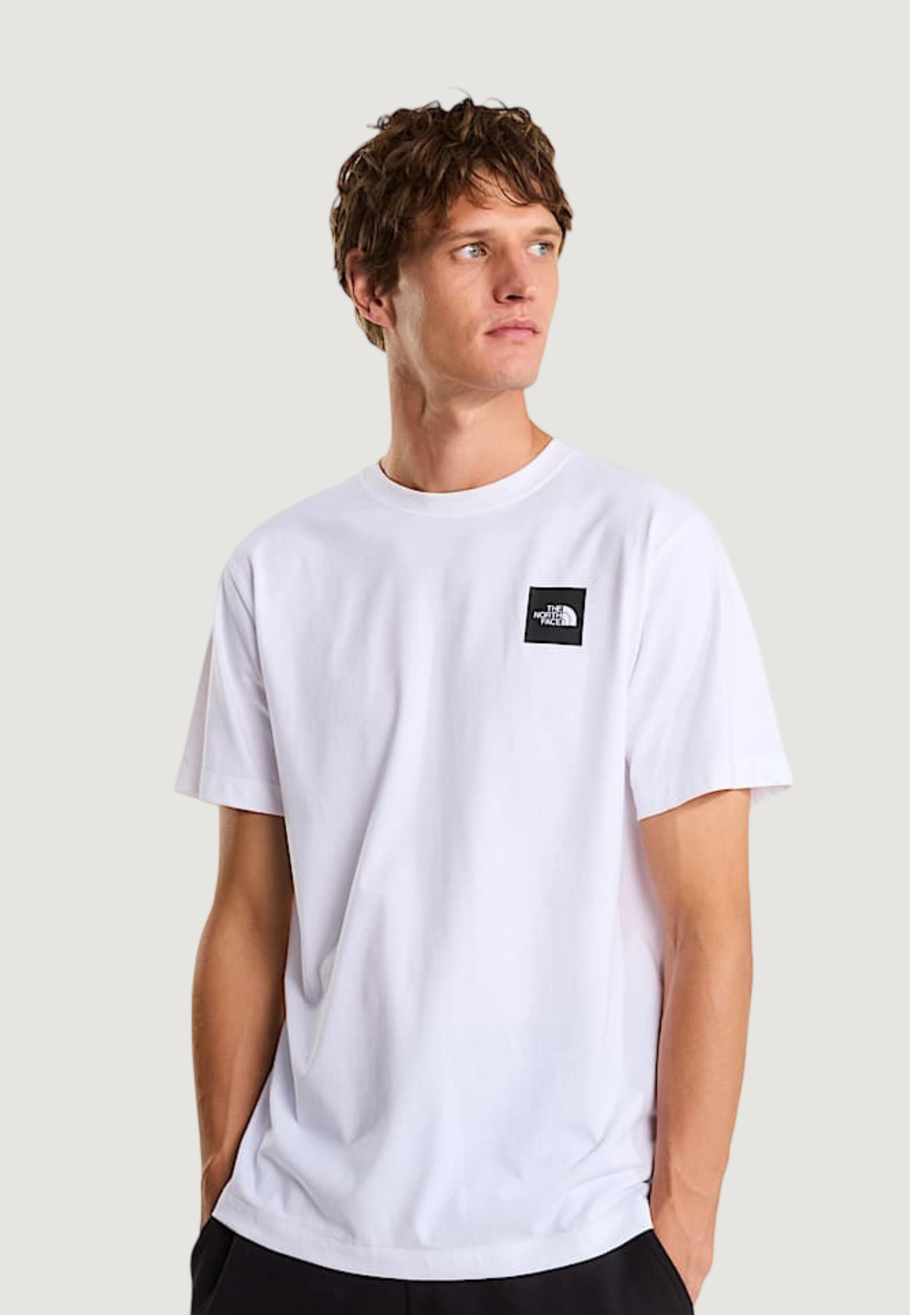 Męska koszulka crop top THE NORTH FACE M EVOLUTION BOX HALF DOME REGULAR SHORT 3/5