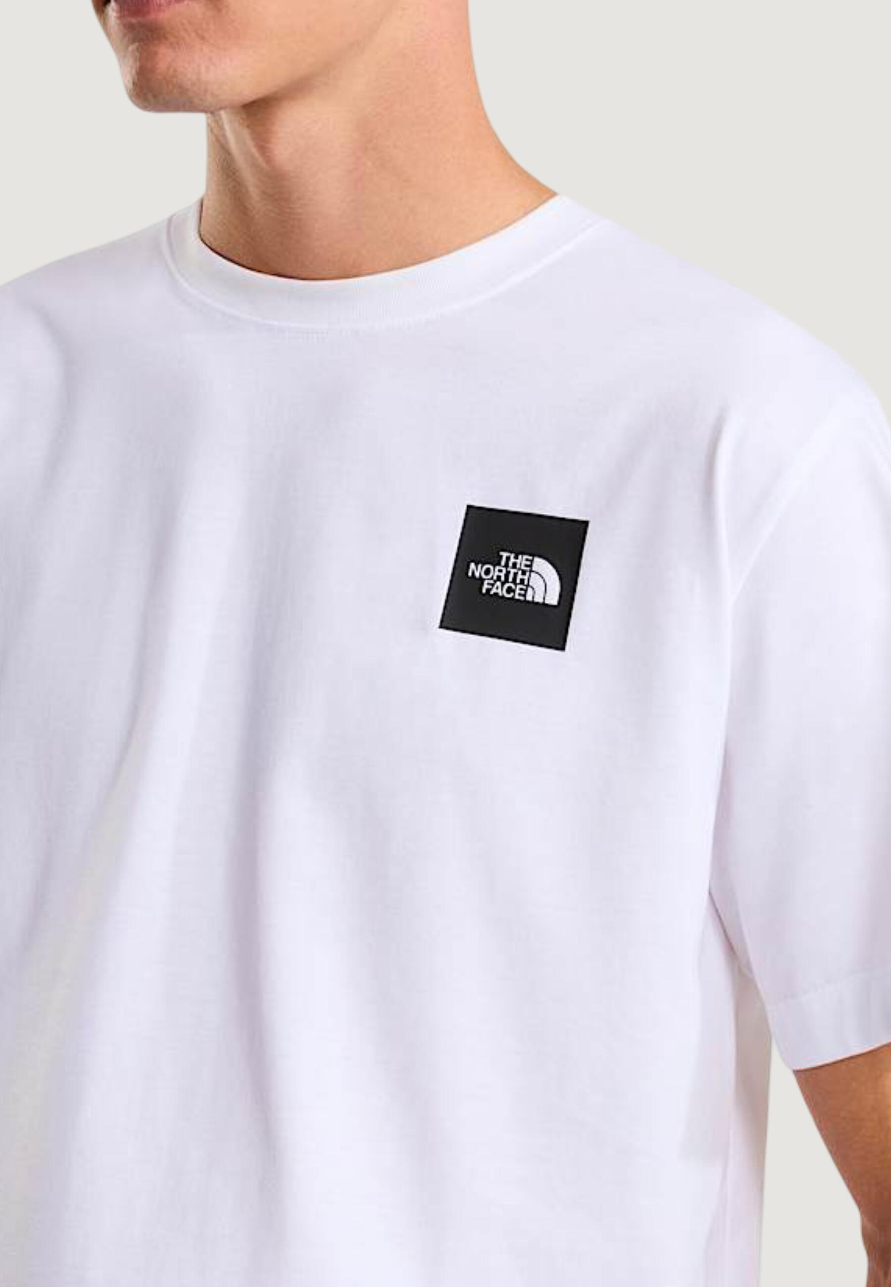 Męska koszulka crop top THE NORTH FACE M EVOLUTION BOX HALF DOME REGULAR SHORT 5/5